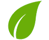 leaf icon