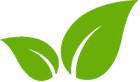 leaf icon