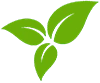 leaf icon