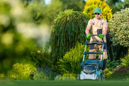 Lawn Care