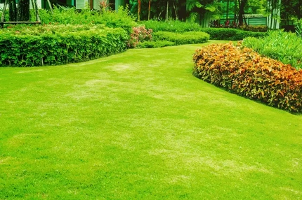 Opal's Lawn